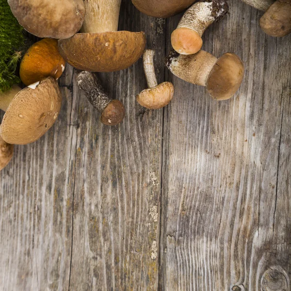 Raw mushrooms on a wooden table. Boletus edulis. — Stock Photo, Image