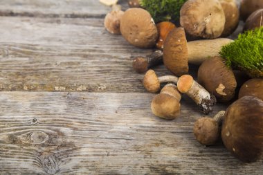 Boletus mantarı ahşap bir masa üzerinde