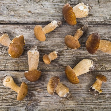 Boletus mantarı ahşap bir masa üzerinde