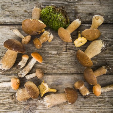 Boletus mantarı ahşap bir masa üzerinde