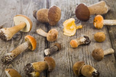   Boletus mantarı ahşap bir masa üzerinde.