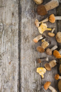   Boletus mantarı ahşap bir masa üzerinde.