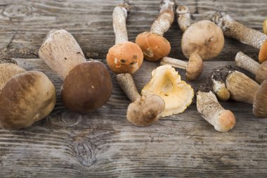   Boletus mantarı ahşap bir masa üzerinde.