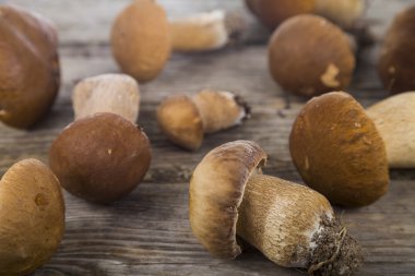   Boletus mantarı ahşap bir masa üzerinde.