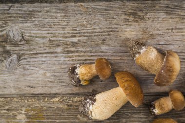   Boletus mantarı ahşap bir masa üzerinde.