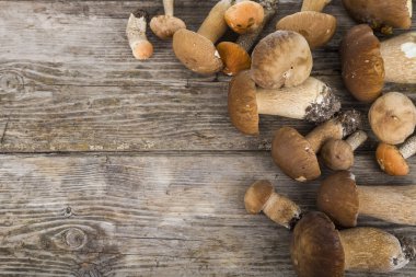   Boletus mantarı ahşap bir masa üzerinde.