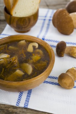 Yabani mantar çorbası 