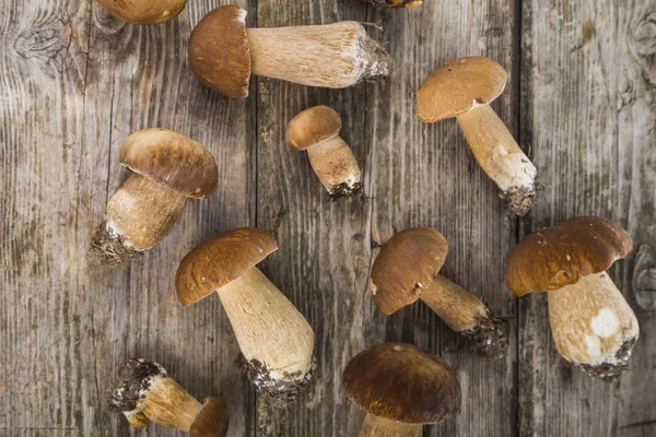 Raw mushrooms on a wooden table. — Stock Photo, Image