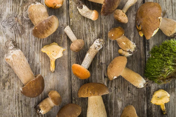 Raw mushrooms on a wooden table. — Stock Photo, Image