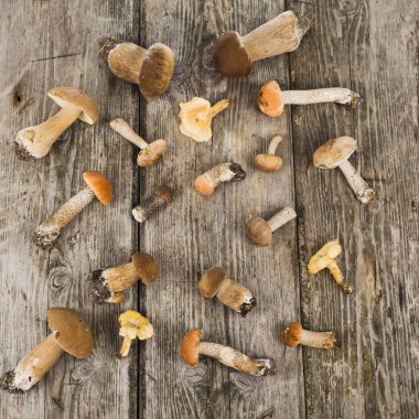 Ahşap bir masa üzerinde ham mantar. Boletus mantarı ve chanterelles