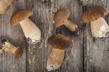 Ahşap bir masa üzerinde ham mantar. Boletus mantarı ve chanterelles