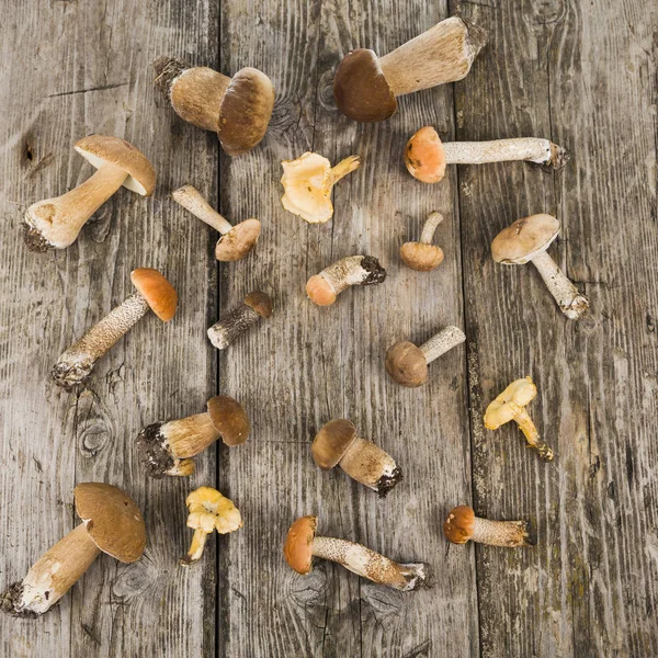 Ahşap bir masa üzerinde ham mantar. Boletus mantarı ve chanterelles — Stok fotoğraf