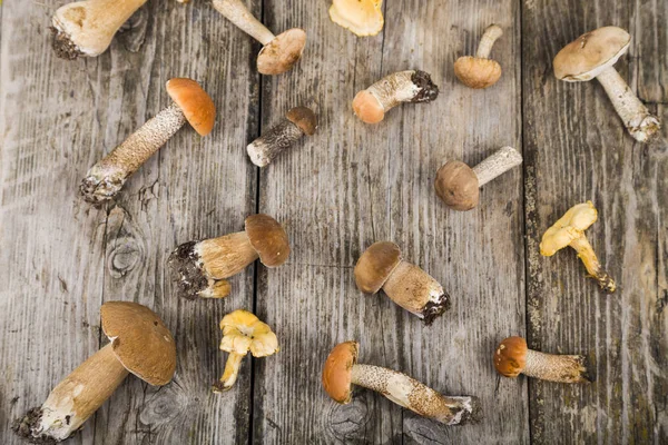 Ahşap bir masa üzerinde ham mantar. Boletus mantarı ve chanterelles