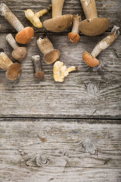 Raw mushrooms on a wooden table. Boletus edulis and chanterelles — Stock Photo, Image