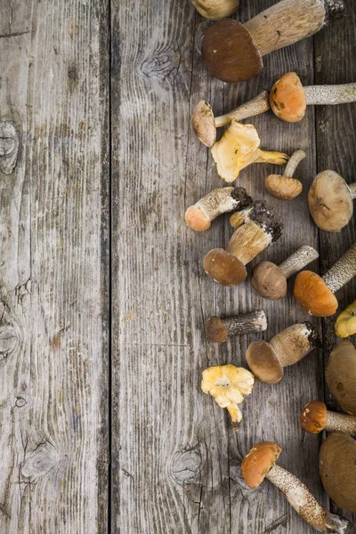 Ahşap bir masa üzerinde ham mantar. Boletus mantarı ve chanterelles
