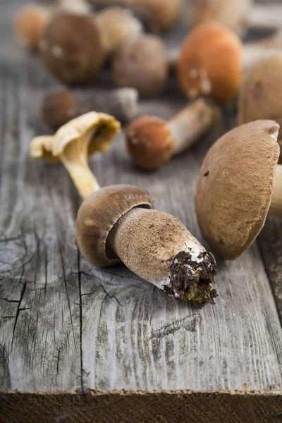 Ahşap bir masa üzerinde ham mantar. Boletus mantarı ve chanterelles