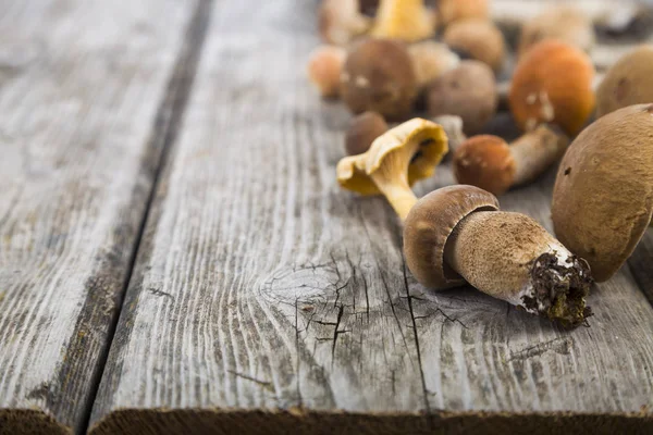 Syrové houby na dřevěný stůl. Hřib smrkový a lišky — Stock fotografie