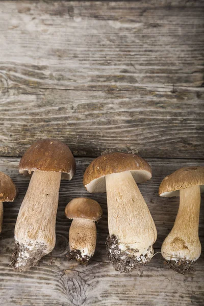 Ahşap bir masa üzerinde ham mantar. Boletus mantarı ve chanterelles