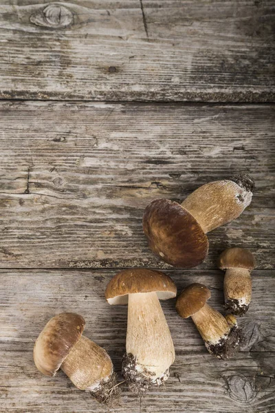 Ahşap bir masa üzerinde ham mantar. Boletus mantarı ve chanterelles
