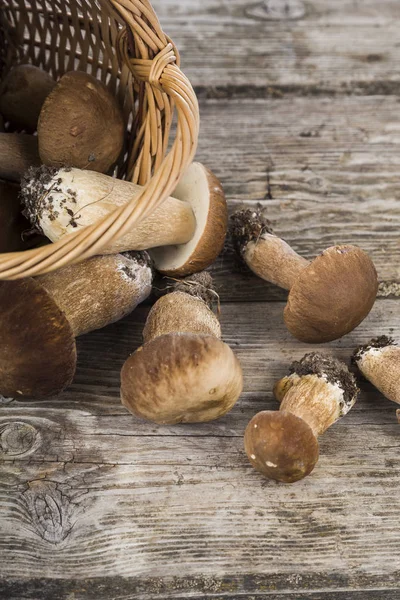 Funghi crudi fuoriescono dal cesto sul vecchio tavolo di legno. Boletu — Foto Stock
