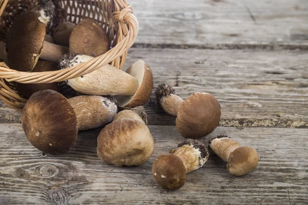 Ham mantar sepetten eski ahşap masanın üzerine dökün. Boletu