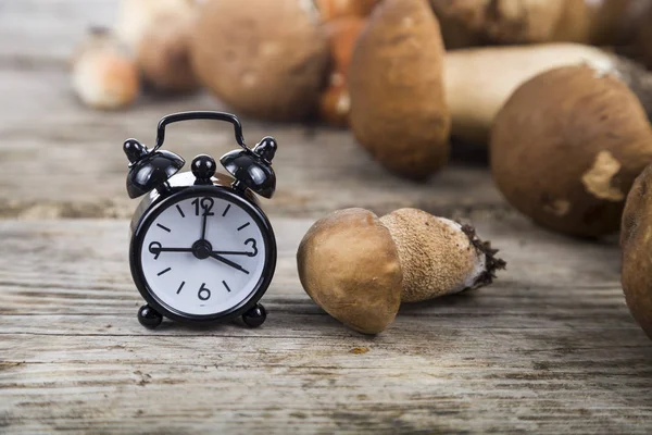 Raw mushrooms and alarm clock on a wooden table. Boletus edulis — Stock Photo, Image