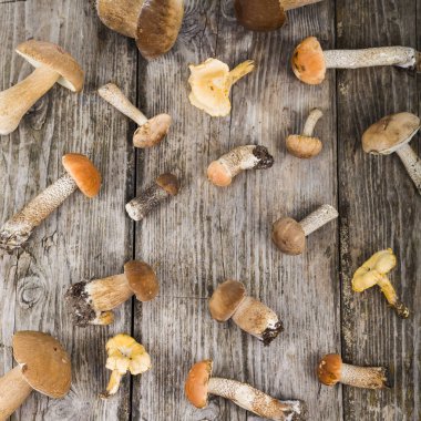 Ahşap bir masa üzerinde ham mantar. Boletus mantarı ve chanterelles