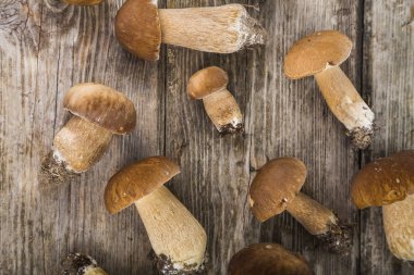 Ahşap bir masa üzerinde ham mantar. Boletus mantarı ve chanterelles