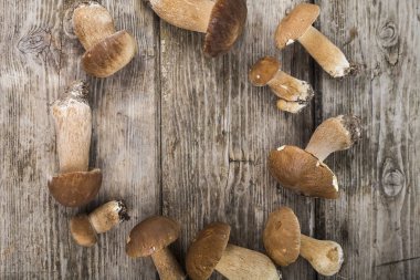 Ahşap bir masa üzerinde ham mantar. Boletus mantarı ve chanterelles