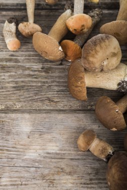 Ahşap bir masa üzerinde ham mantar. Boletus mantarı ve chanterelles