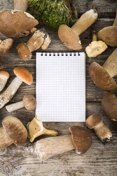 Raw mushrooms and notebook on a wooden table. Boletus edulis. — Stock Photo, Image