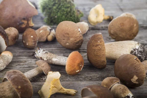 Raw mushrooms on a wooden table. Boletus edulis and chanterelles — Stock Photo, Image