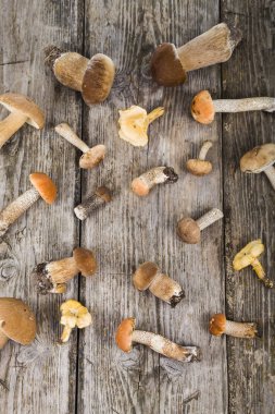 Ahşap bir masa üzerinde ham mantar. Boletus mantarı ve chanterelles