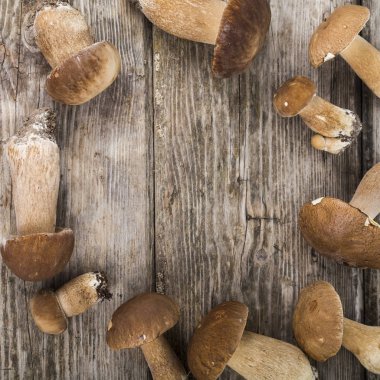 Ahşap bir masa üzerinde ham mantar. Boletus mantarı ve chanterelles