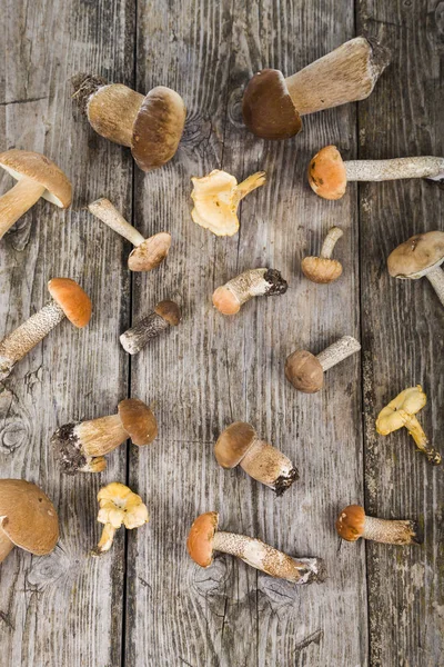 Raw mushrooms on a wooden table. Boletus edulis and chanterelles — Stock Photo, Image