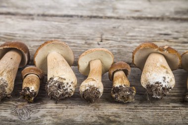 Ahşap bir masa üzerinde ham mantar. Boletus mantarı ve chanterelles