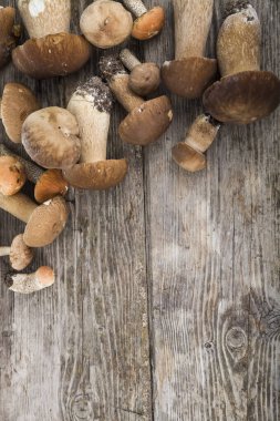 Ahşap bir masa üzerinde ham mantar. Boletus mantarı ve chanterelles