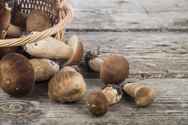 Ham mantar sepetten eski ahşap masanın üzerine dökün. Boletu