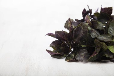 Ahşap masa lambası üzerinde mor fesleğen. Otlar portre.