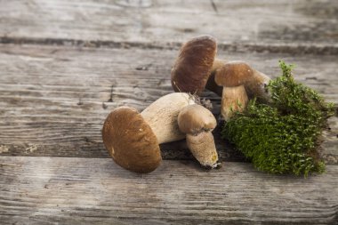 Ahşap bir masa üzerinde ham mantar. Boletus mantarı ve chanterelles