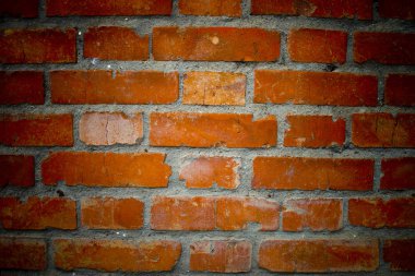 Turuncu tuğla duvar portre.  