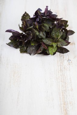 Hafif ahşap arka plan üzerinde taze mor fesleğen