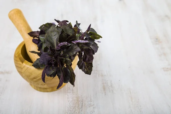 Albahaca sobre un fondo de madera claro —  Fotos de Stock