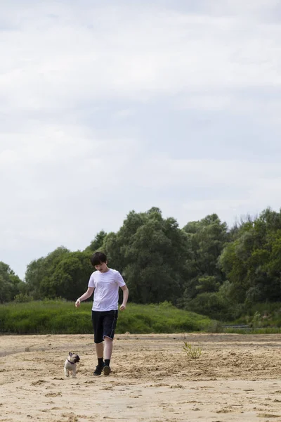 Çocuk ve kumlu bir plaj boyunca bir yaz gününde çalışan köpek