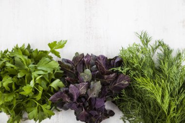 Maydanoz, dereotu, fesleğen hafif ahşap arka plan üzerinde.