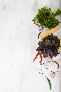 Maydanoz, dereotu, fesleğen hafif ahşap arka plan üzerinde. 