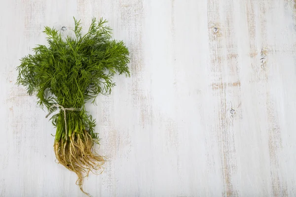 Dill fresco em um fundo de madeira leve . — Fotografia de Stock