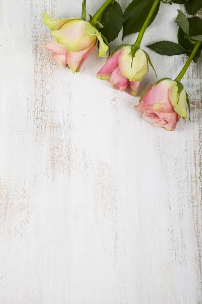 Rosa Rosen auf einem hölzernen Hintergrund. — Stockfoto