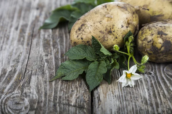 Rå potatis med blad på ett träbord — Stockfoto