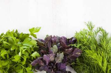 Maydanoz, dereotu, fesleğen hafif ahşap arka plan üzerinde.